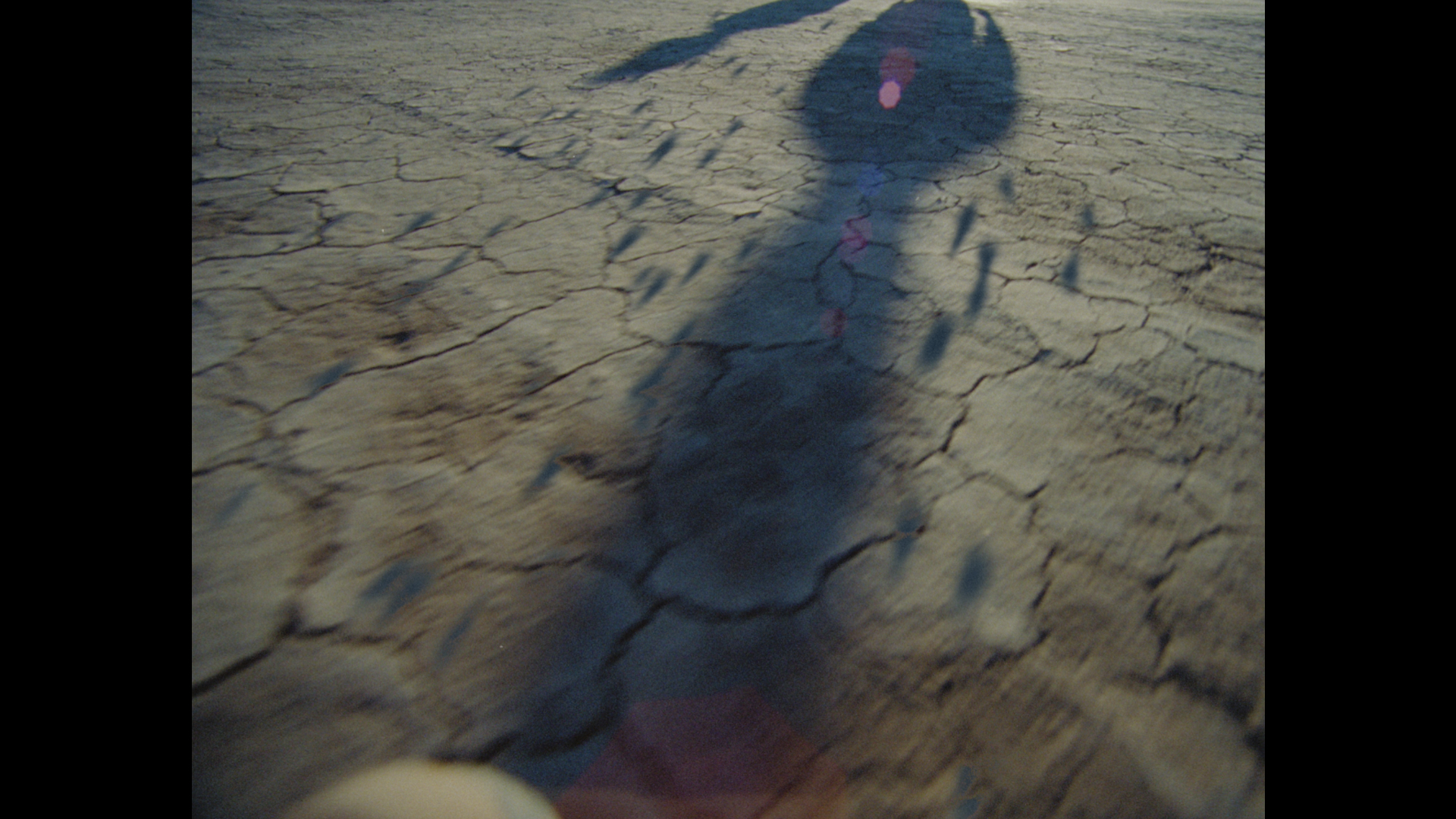 Previous Image